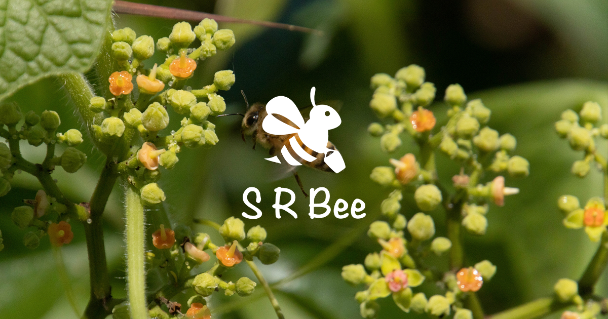 SRBee - 世界遺産シュンドルボンの純粋はちみつ