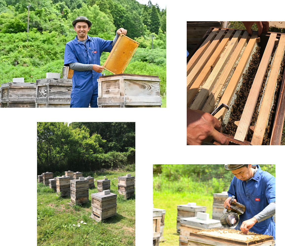 岐阜県大垣市上石津町 SMILE HONEY（スマイルハニー） 養蜂家・小山内 伸晃 さん